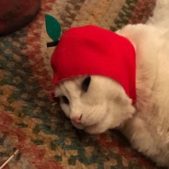 Meet your Posher, Charlotte - Picture 1 of 1